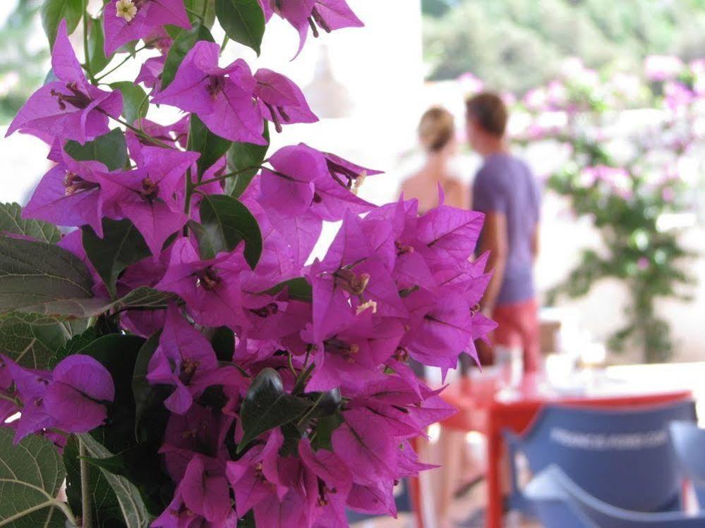 Cosmos Grand Hostal Sant Francesc de s'Estany Dış mekan fotoğraf